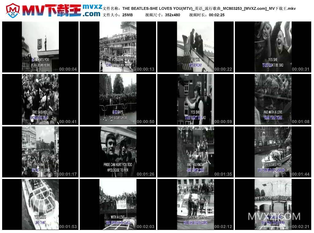 THE BEATLES-SHE LOVES YOU(MTV)_英语_流行歌曲_MC803253